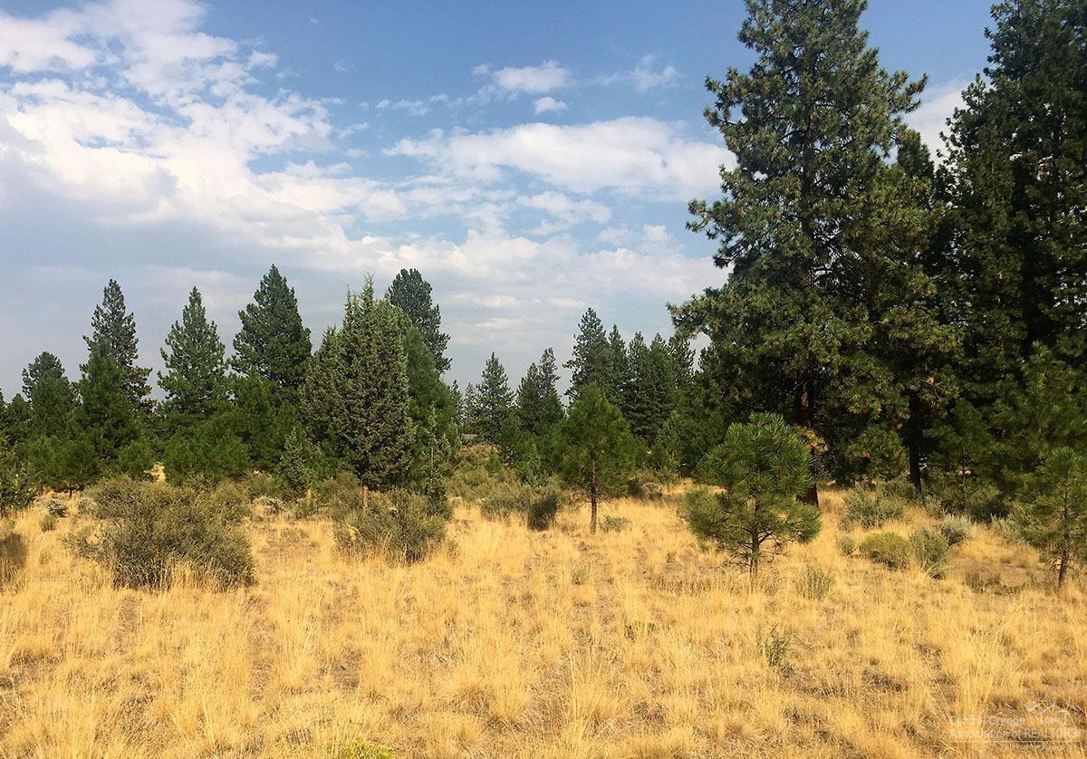 115 Buck Canyon Road Bend, OR 97702 - Photo 1 of 6 Gallery Image 1