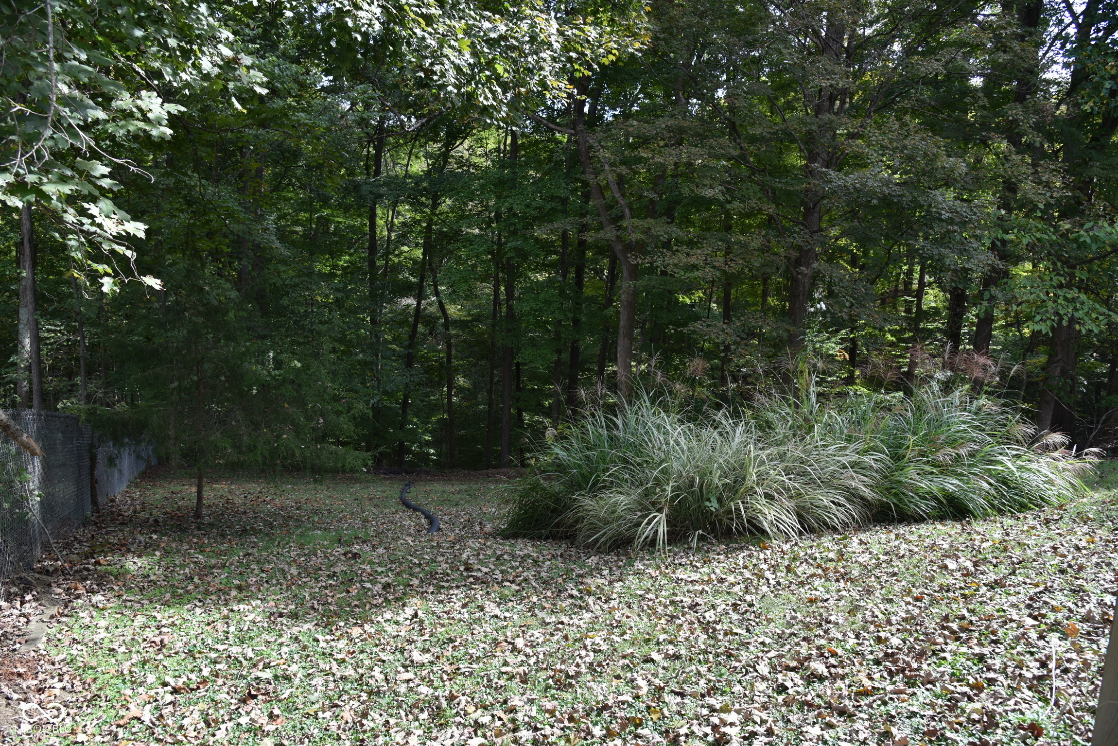 7155 South Shields Ridge Road Bloomington, IN 47401 - Photo 4 of 14