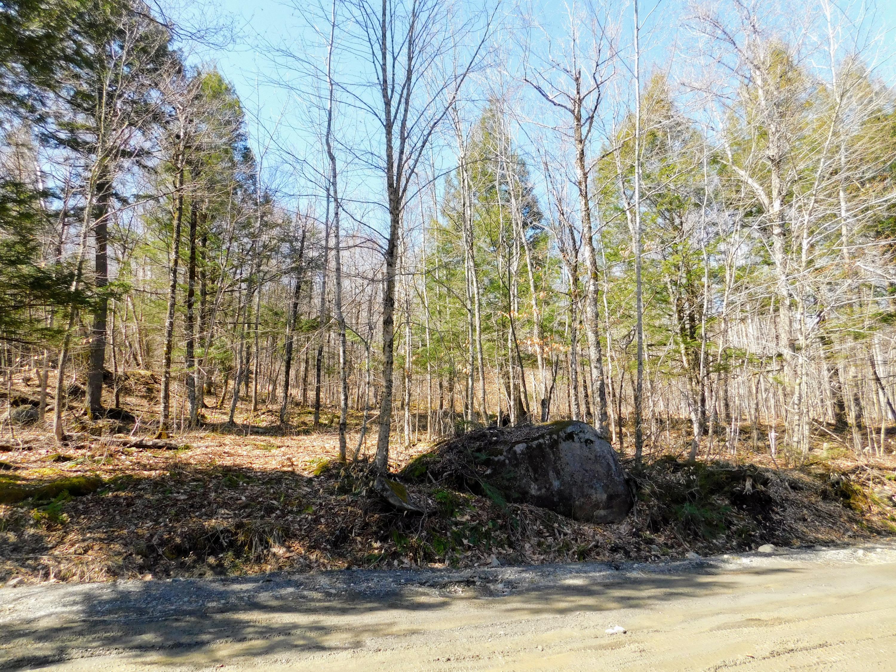 Lot 33 Sunset Ridge Road Sebec, ME 04481 - Photo 15 of 17 DSCN1618