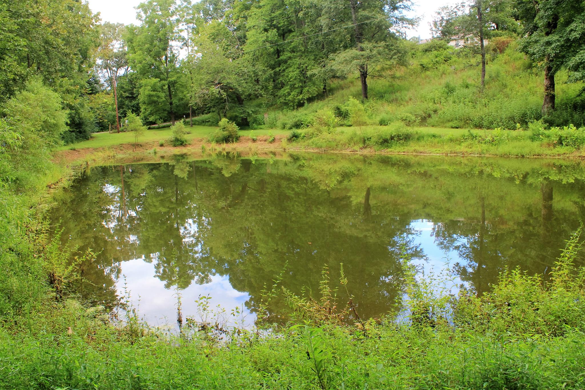 6541 Willow Springs Road Lyles, TN 37098 - Photo 1 of 25 Gallery Image 1