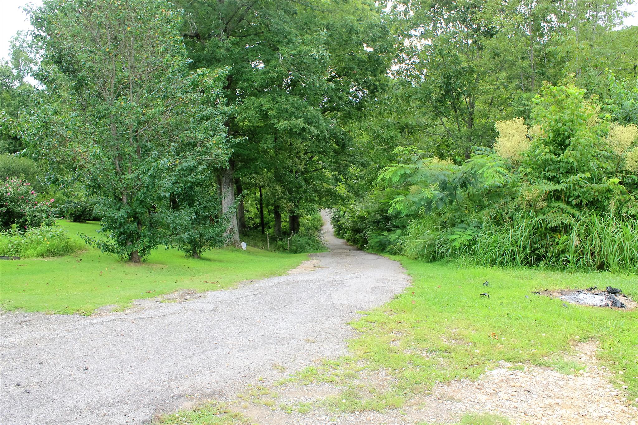 6541 Willow Springs Road Lyles, TN 37098 - Photo 11 of 25 Gallery Image 11