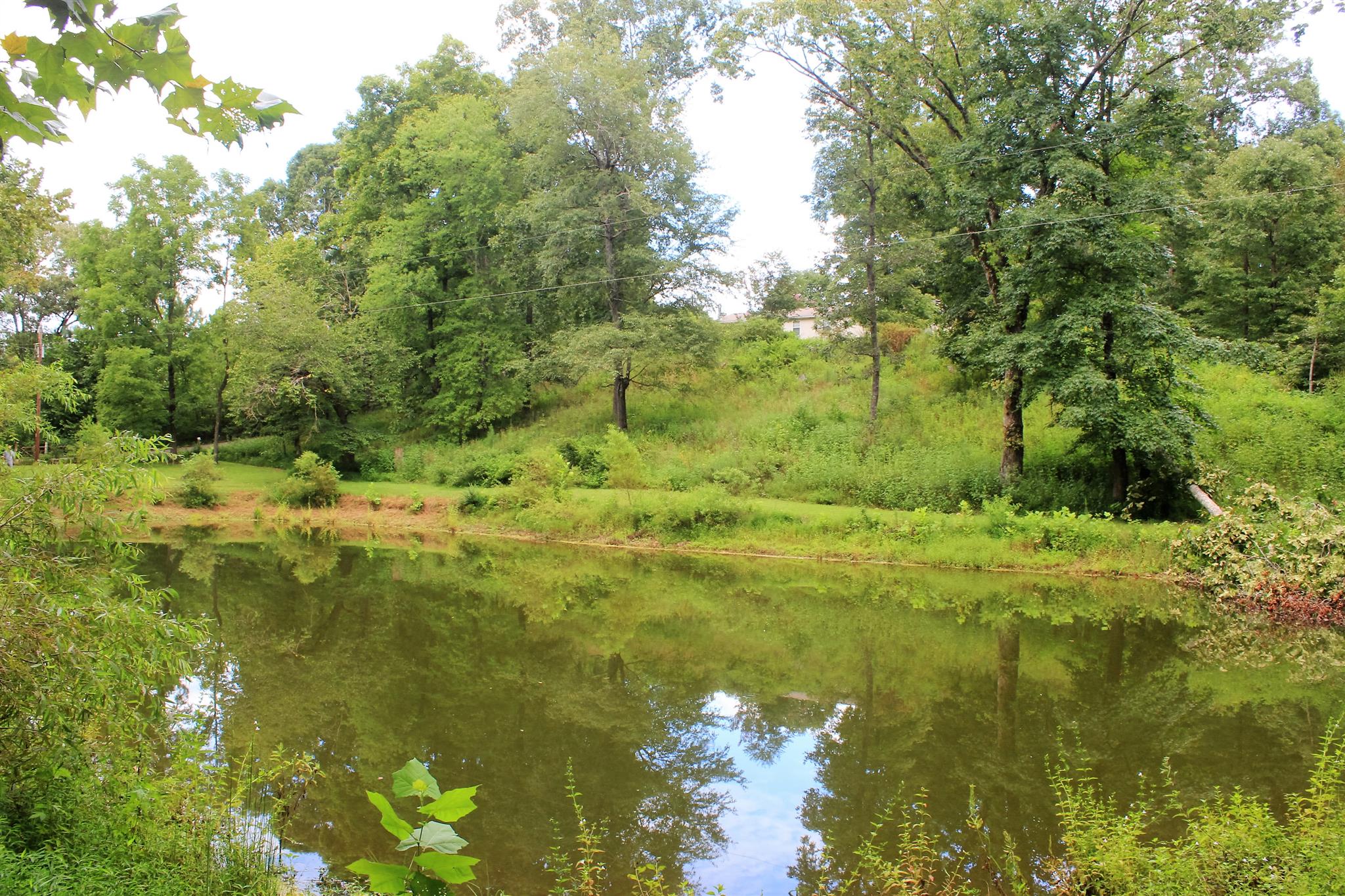 6541 Willow Springs Road Lyles, TN 37098 - Photo 16 of 25 Gallery Image 16