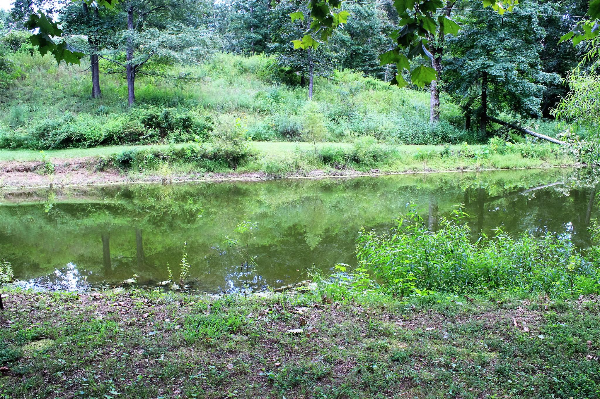 6541 Willow Springs Road Lyles, TN 37098 - Photo 5 of 25 Gallery Image 5