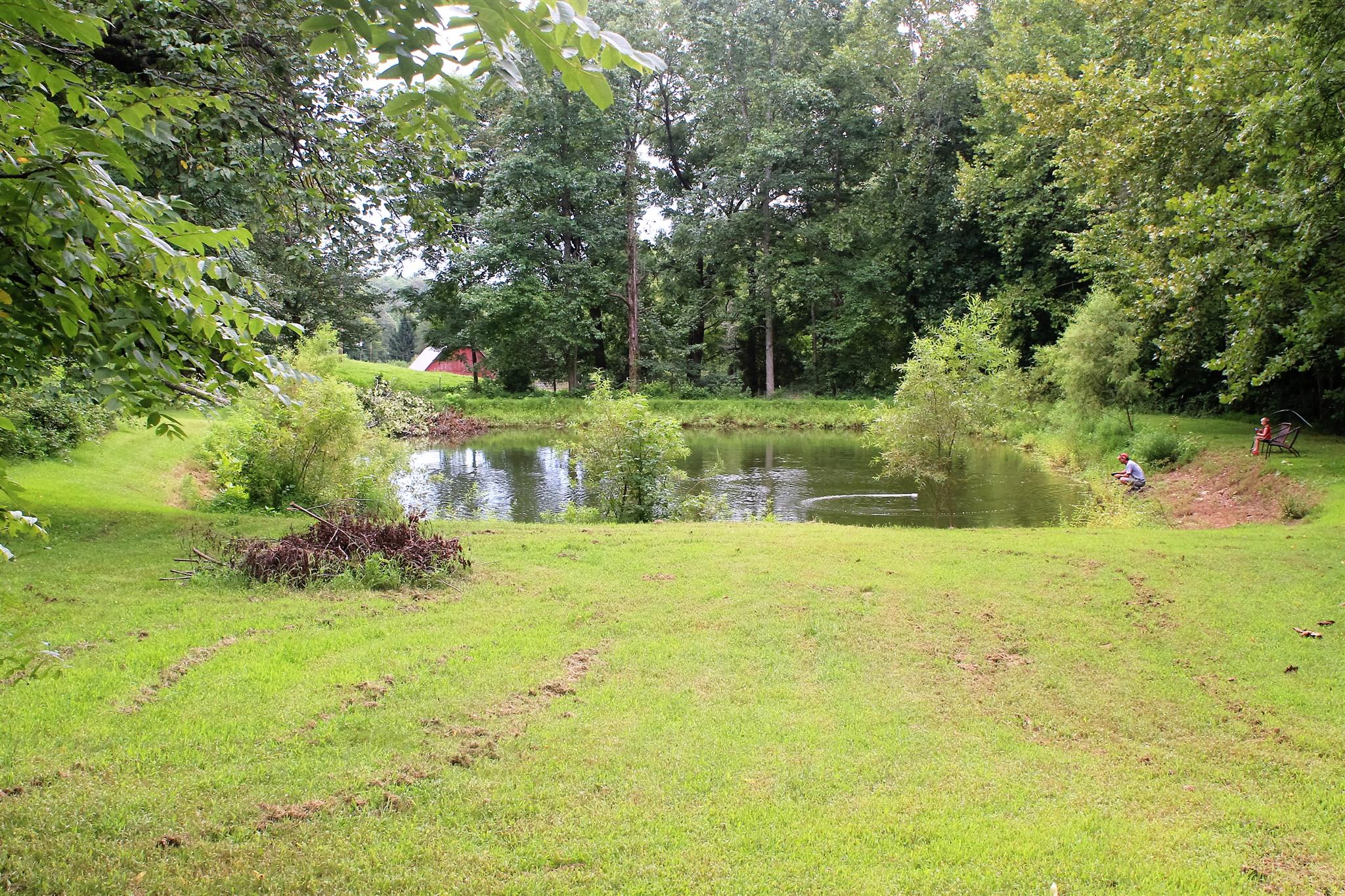 6541 Willow Springs Road Lyles, TN 37098 - Photo 7 of 25 Gallery Image 7