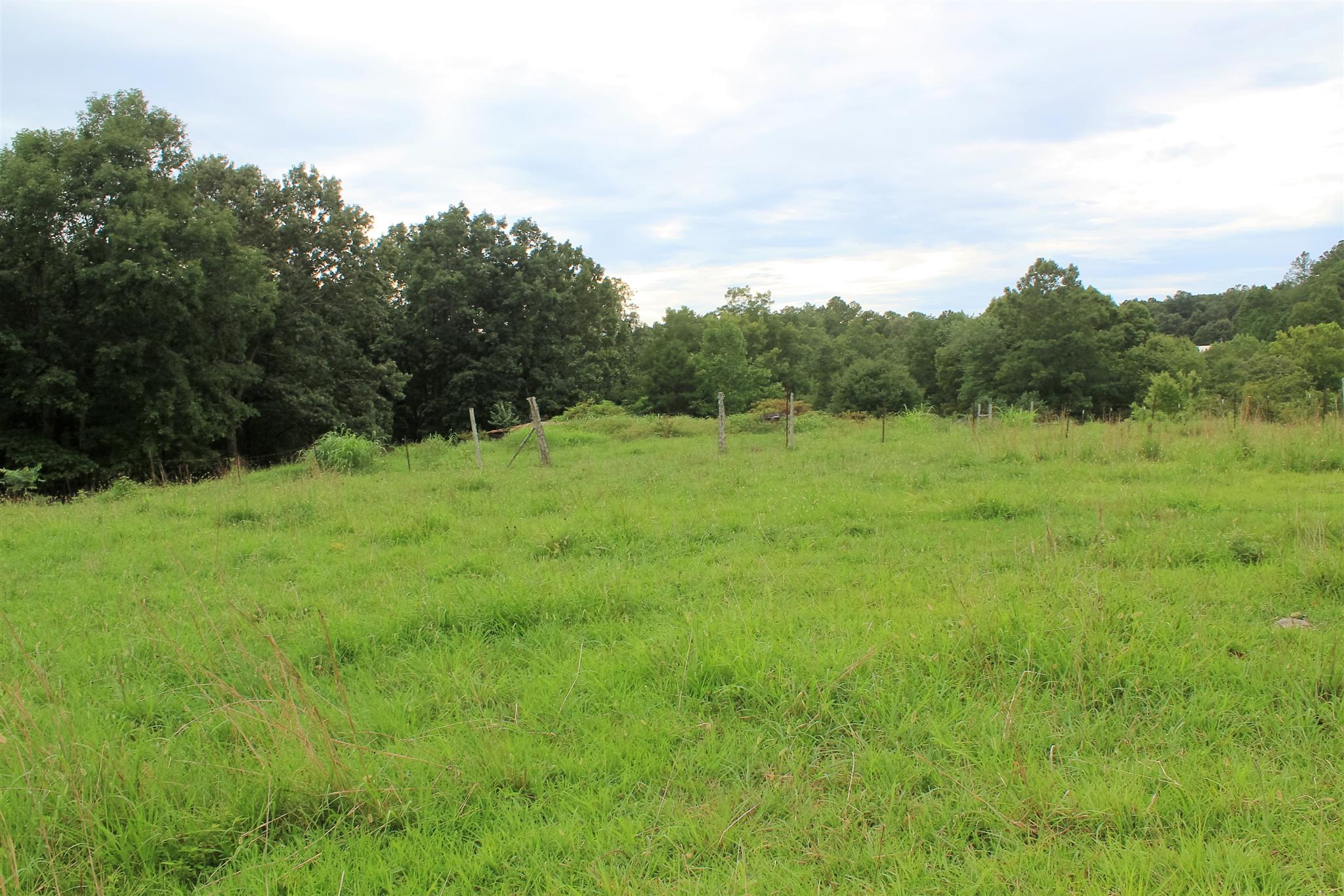 6541 Willow Springs Road Lyles, TN 37098 - Photo 9 of 25 Gallery Image 9