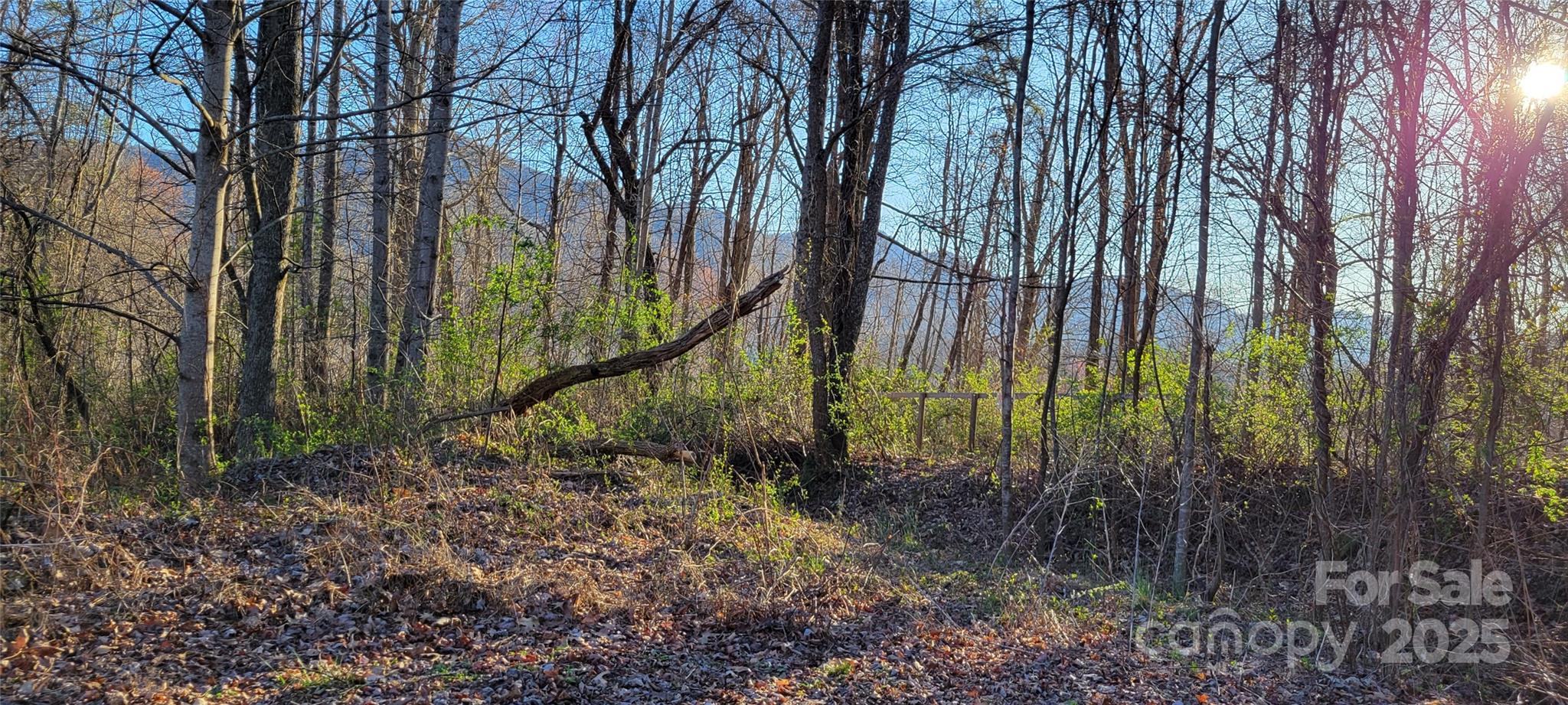 40 Ron's Ridge Waynesville, NC 28785 - Photo 2 of 9