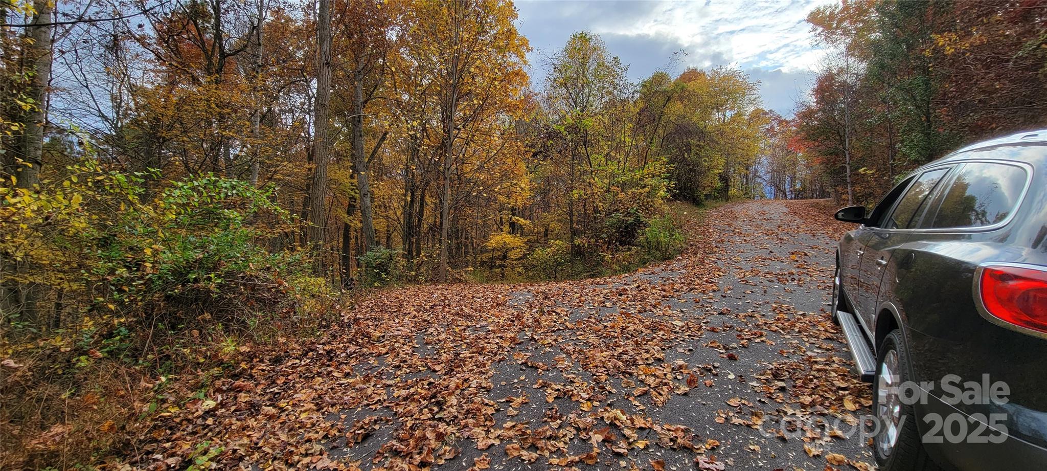40 Ron's Ridge Waynesville, NC 28785 - Photo 3 of 9