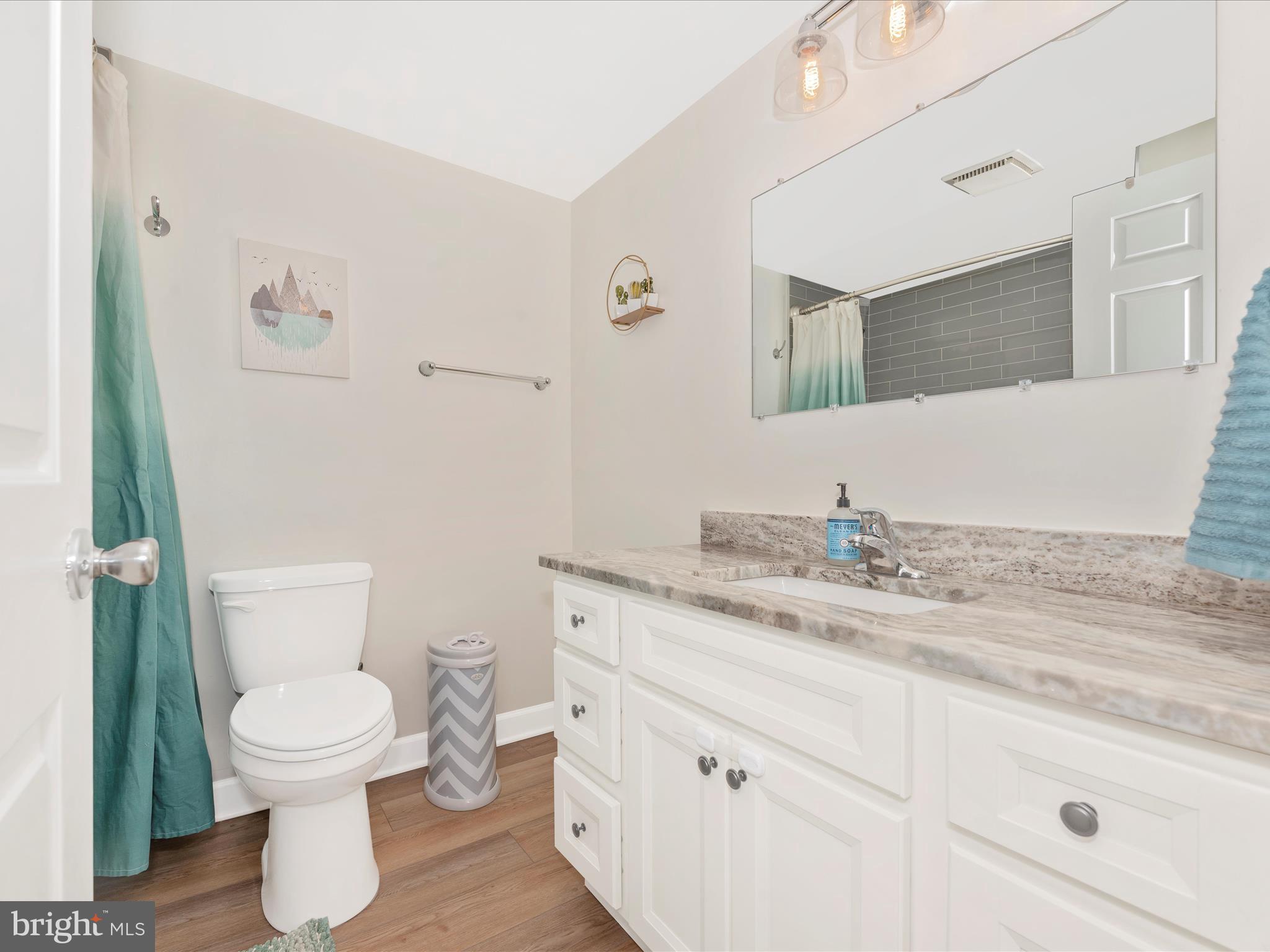 5689 Pebble Drive Frederick, MD 21703 - Photo 34 of 55 Hall Bathroom