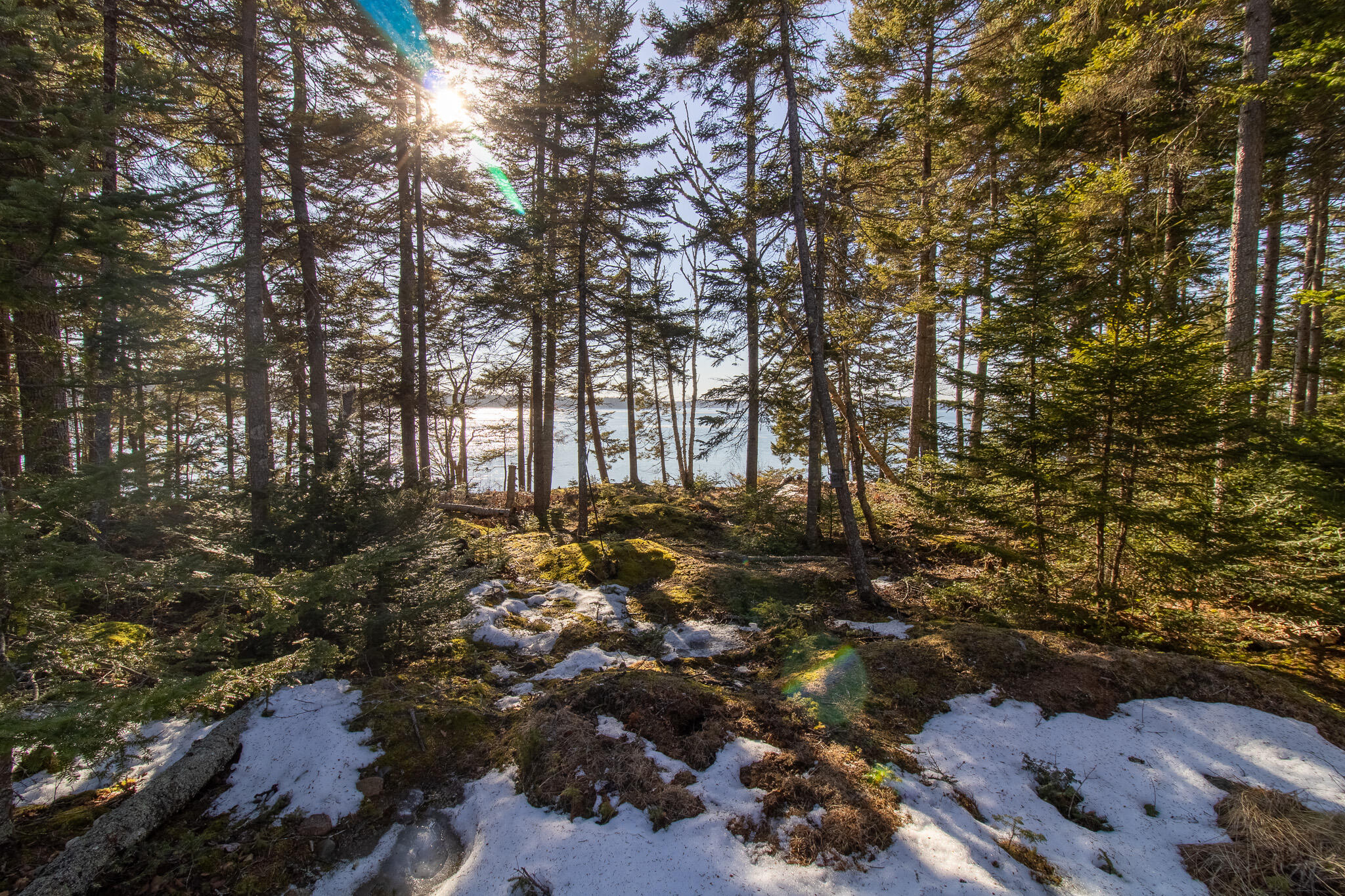 251 Ripley Neck Road Harrington, ME 04643 - Photo 8 of 18