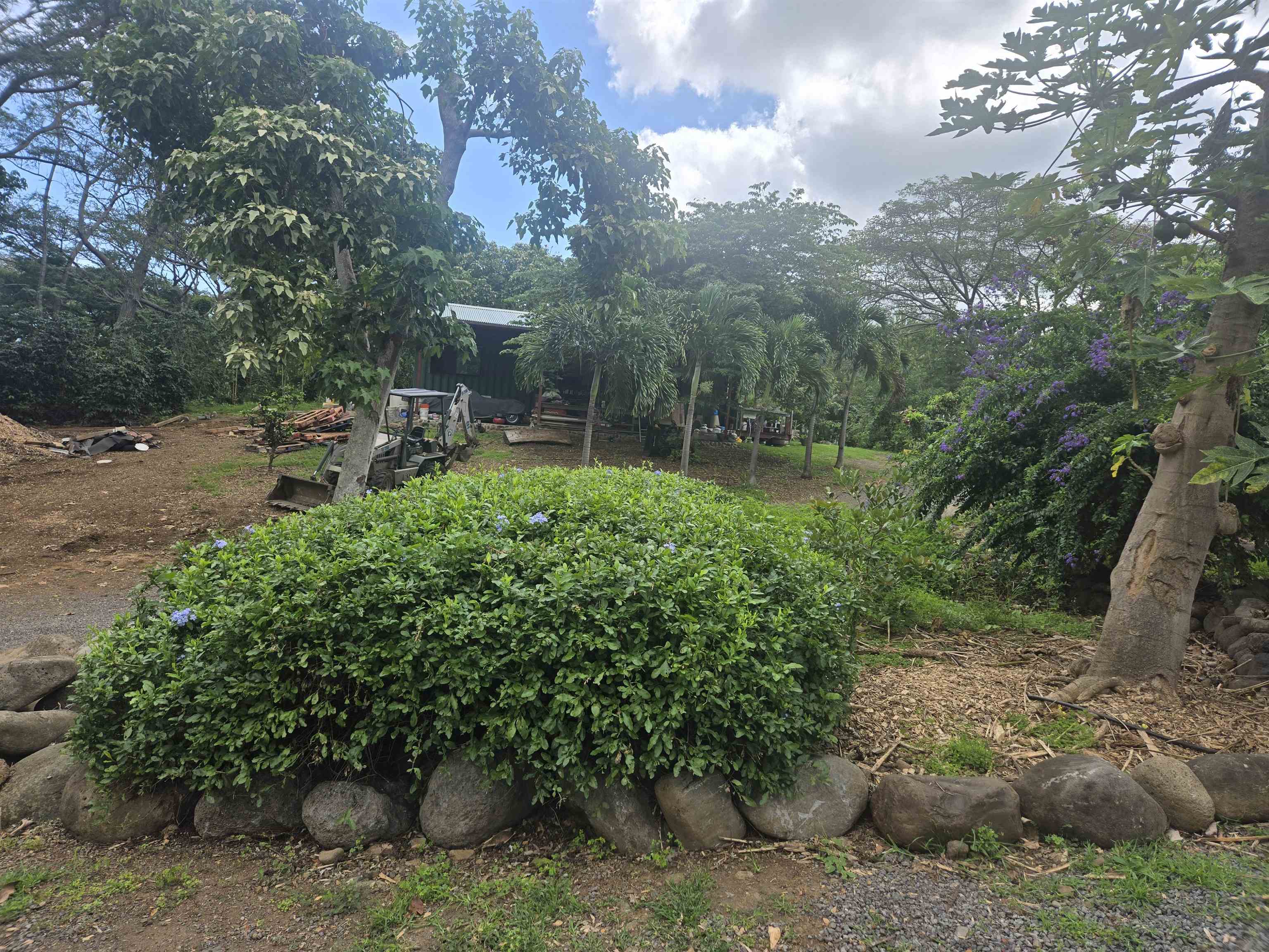 2559 Mokuhau Road Wailuku, HI 96793 - Photo 9 of 16