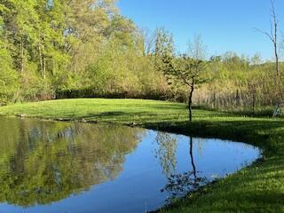 9337 Tasker Road Bellevue, MI 49021 - Photo 23 of 36 6b