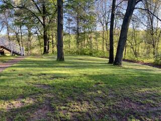 9337 Tasker Road Bellevue, MI 49021 - Photo 7 of 36 1f