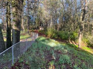 9337 Tasker Road Bellevue, MI 49021 - Photo 9 of 36 1h