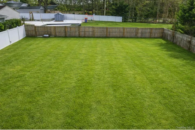 a view of a yard with a large trees