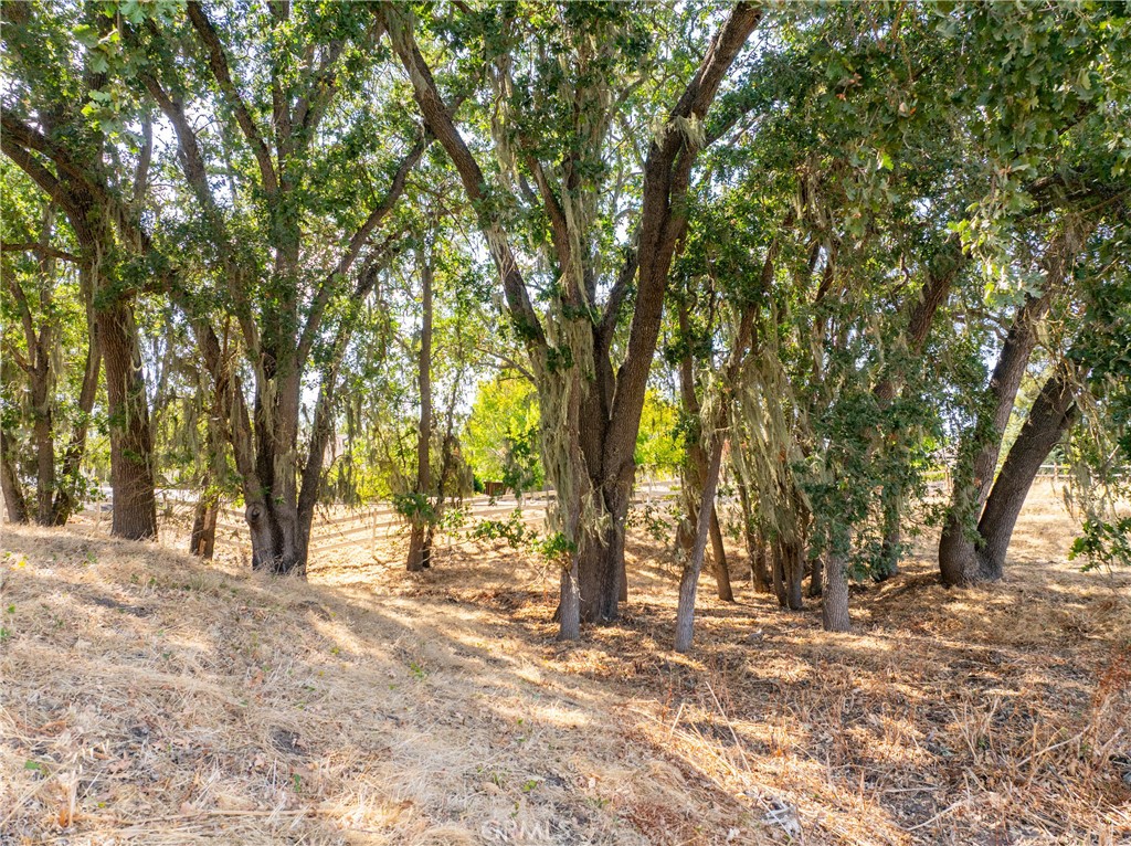 915 Santa Rita Road Templeton, CA 93465 - Photo 44 of 44 Gallery Image 44