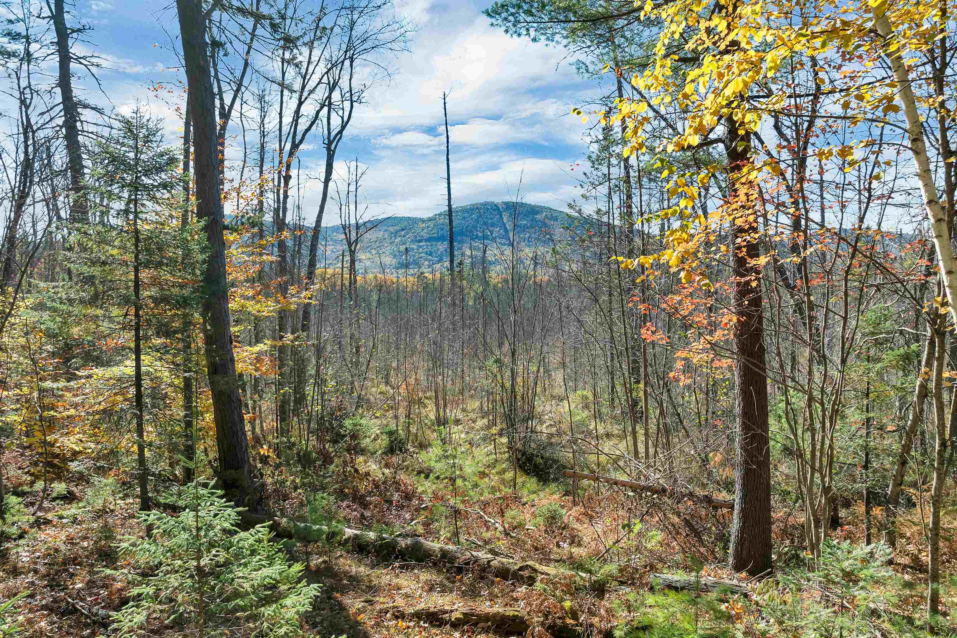 20 Pine Lane Road Ossipee, NH 03814 - Photo 6 of 58