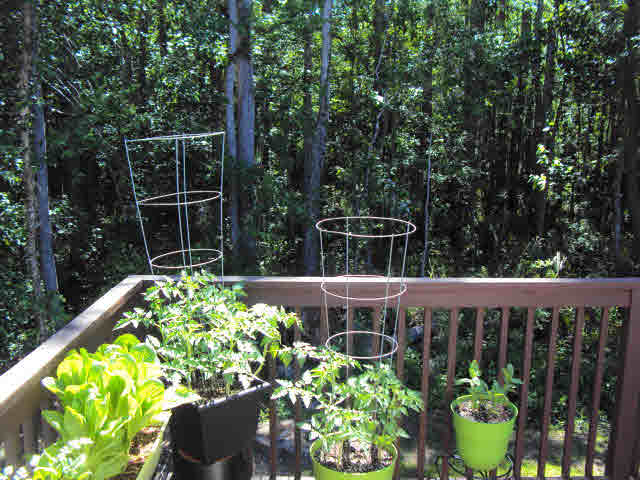 42193 Bayou Road Bay Minette, AL 36507 - Photo 16 of 28 Rear view off Master