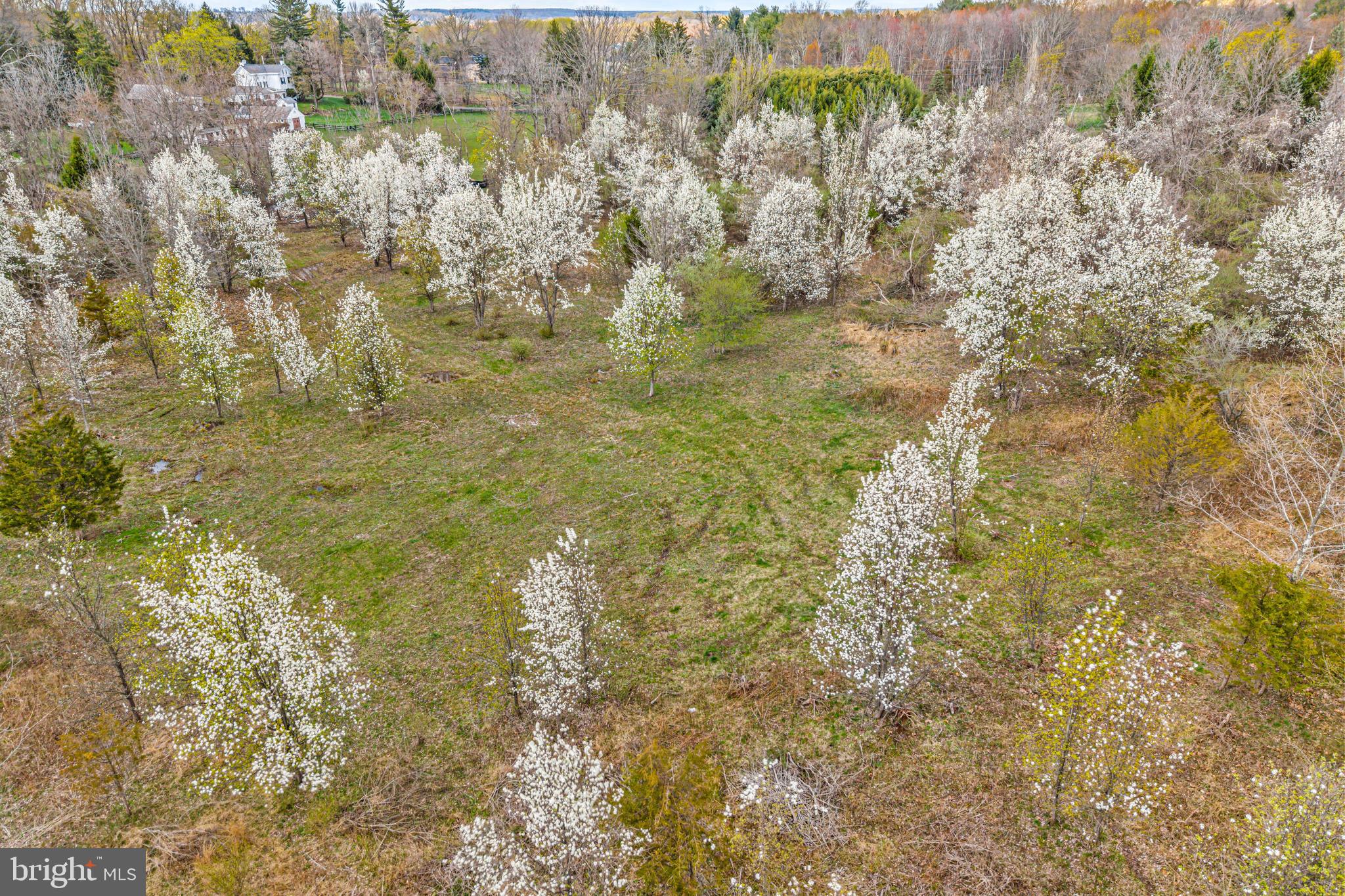 4441 Fell Road Doylestown, PA 18902 - Photo 2 of 7 Approved Building Lot
