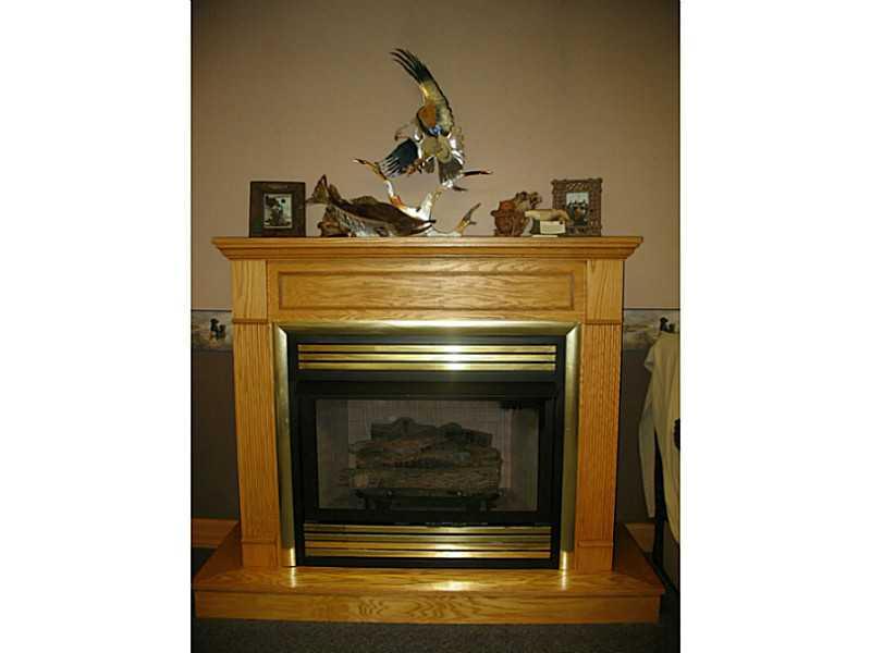 35 Swartz Road Stoneboro, PA 16153 - Photo 18 of 21 Other. Propane fireplace located in the family room, lower level.