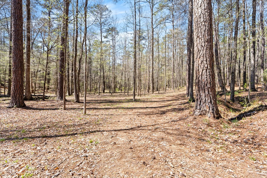 934 Ga Highway Fortson, GA 31808 - Photo 12 of 19 a view of backyard with wooden fence