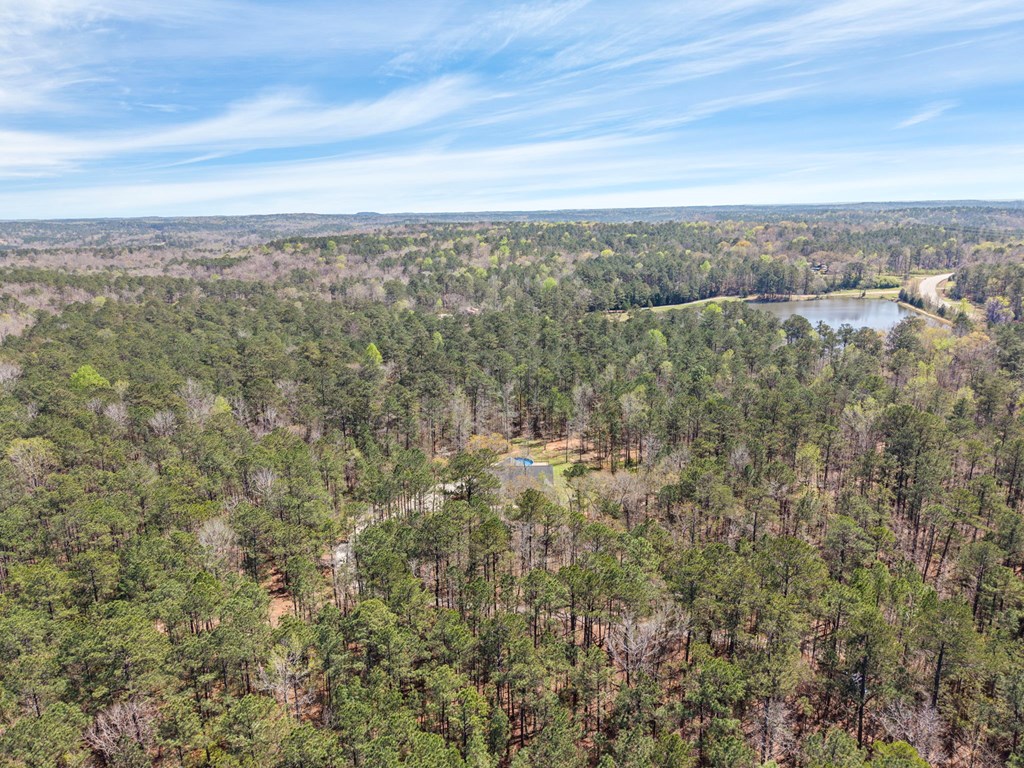 934 Ga Highway Fortson, GA 31808 - Photo 17 of 19 an aerial view of residential houses with outdoor space