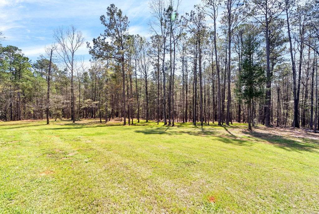 934 Ga Highway Fortson, GA 31808 - Photo 2 of 19 a view of swimming pool with an outdoor space and seating area