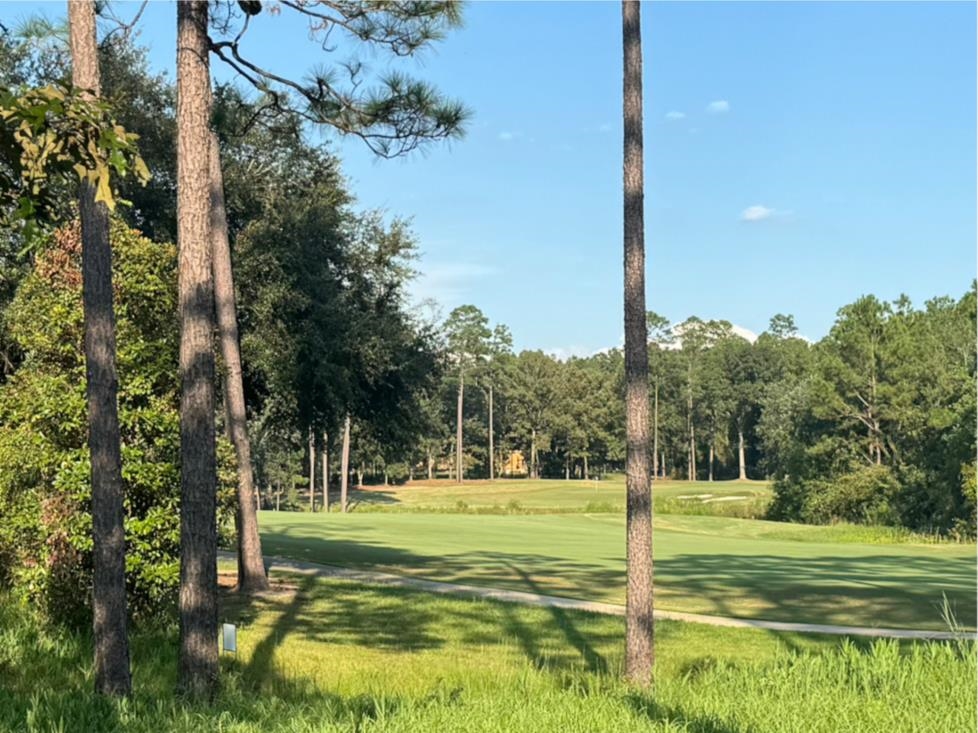 10 Muirfield Court Loxley, AL 36551 - Photo 1 of 8 Steelwood Golf Course Lot
