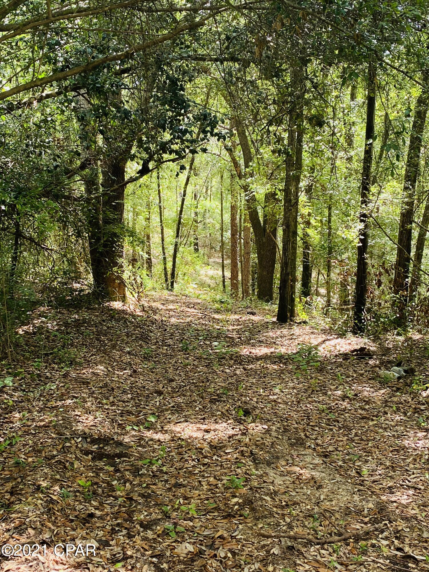 0 Grassy Pond Road, Unit GREENHEAD) Chipley, FL 32428 - Photo 5 of 22 Gallery Image 5
