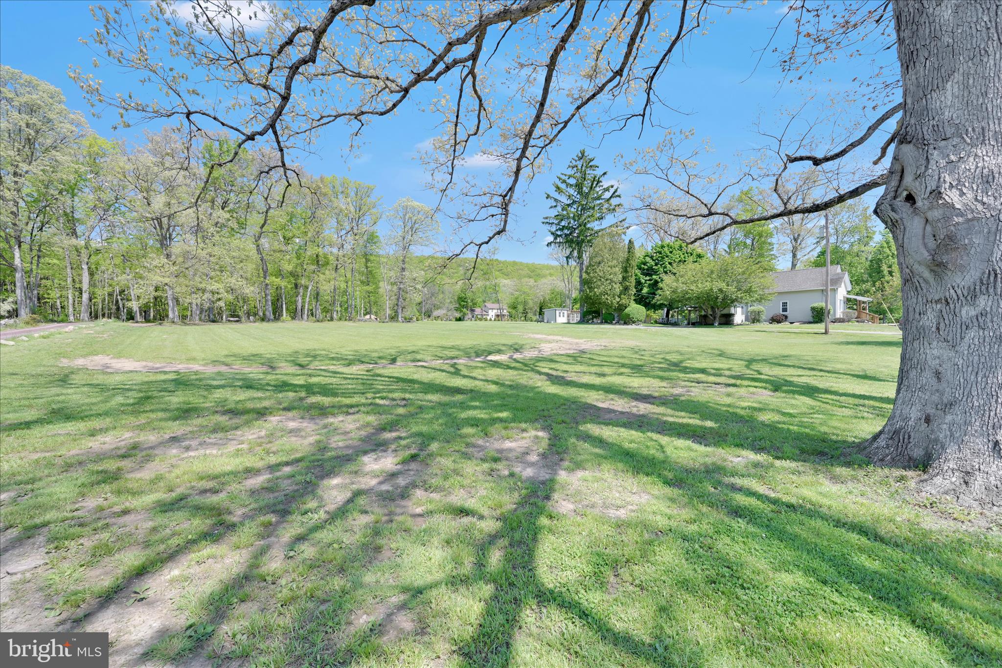 113 Ben Titus Road Tamaqua, PA 18252 - Photo 36 of 53 Backyard