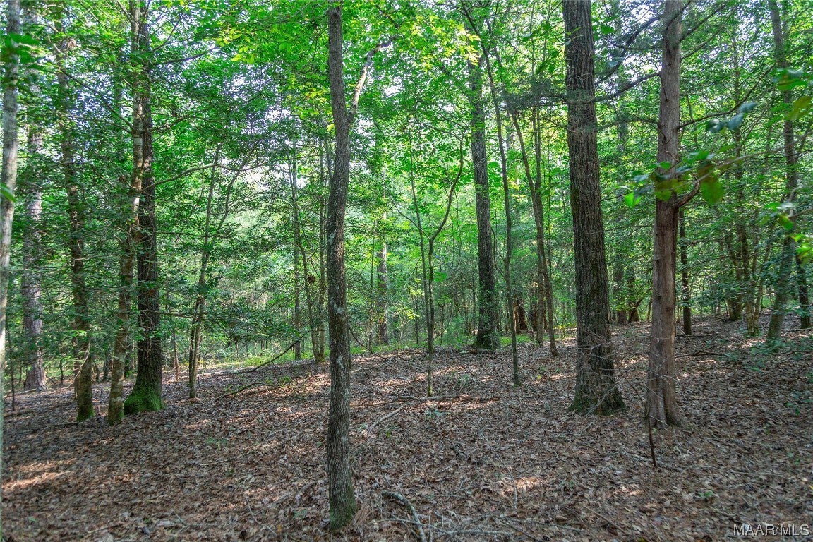 18.5-acres Free Road Brantley, AL 36009 - Photo 14 of 30 Gallery Image 14