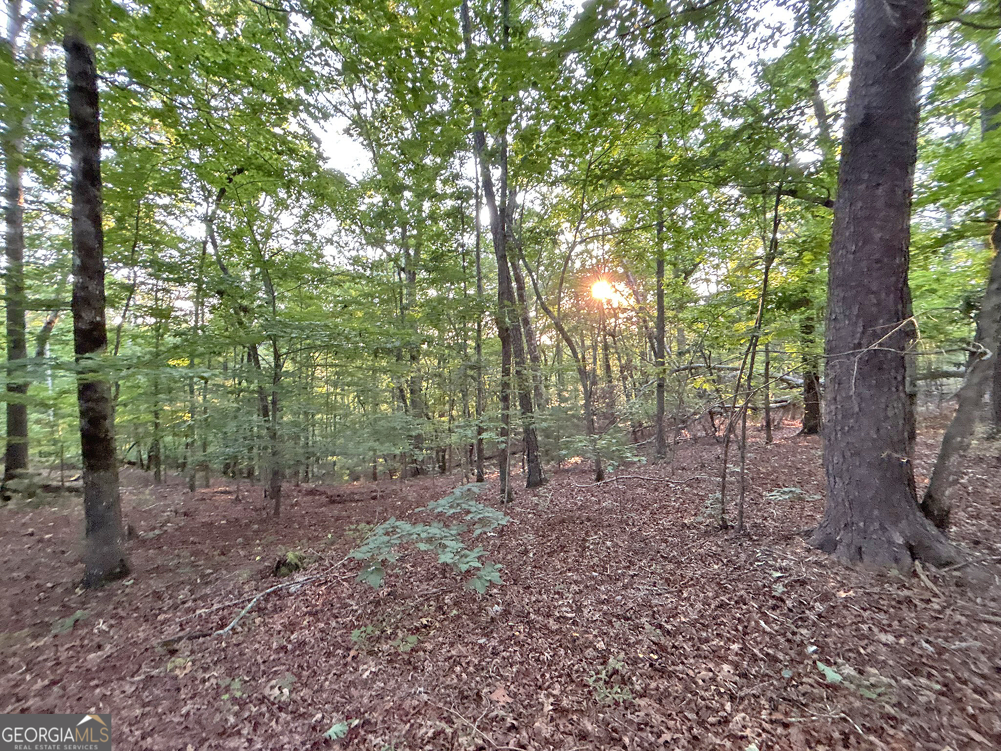 Lot 20 Mt Springer Road Ellijay, GA 30540 - Photo 16 of 32
