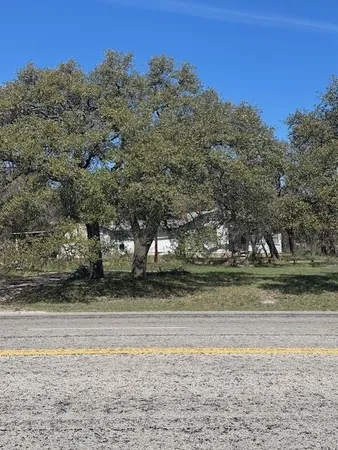 a view of a yard with a large tree