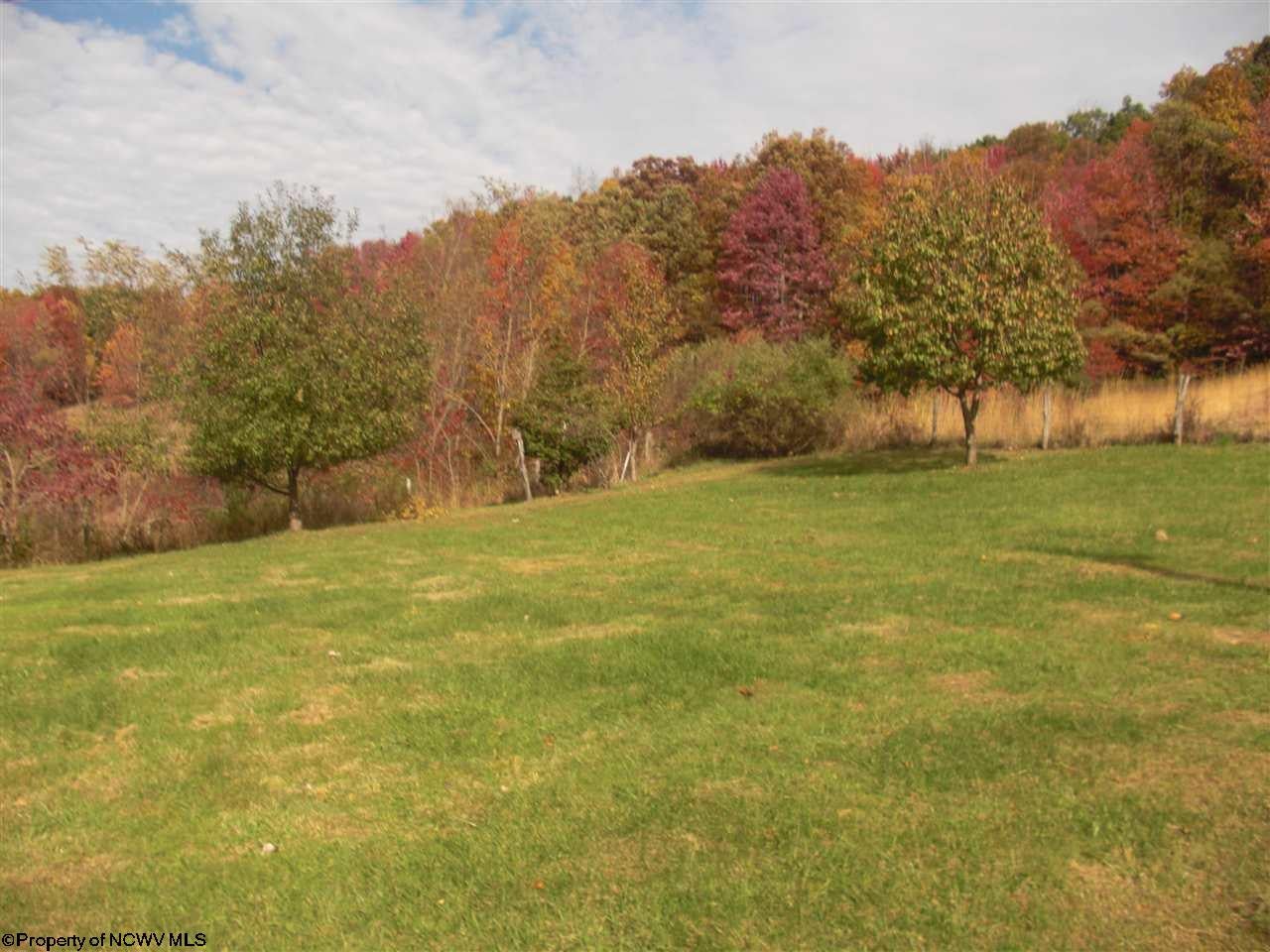 1393 Heaston Ridge Road Crawford, WV 26343 - Photo 4 of 20 Gallery Image 4