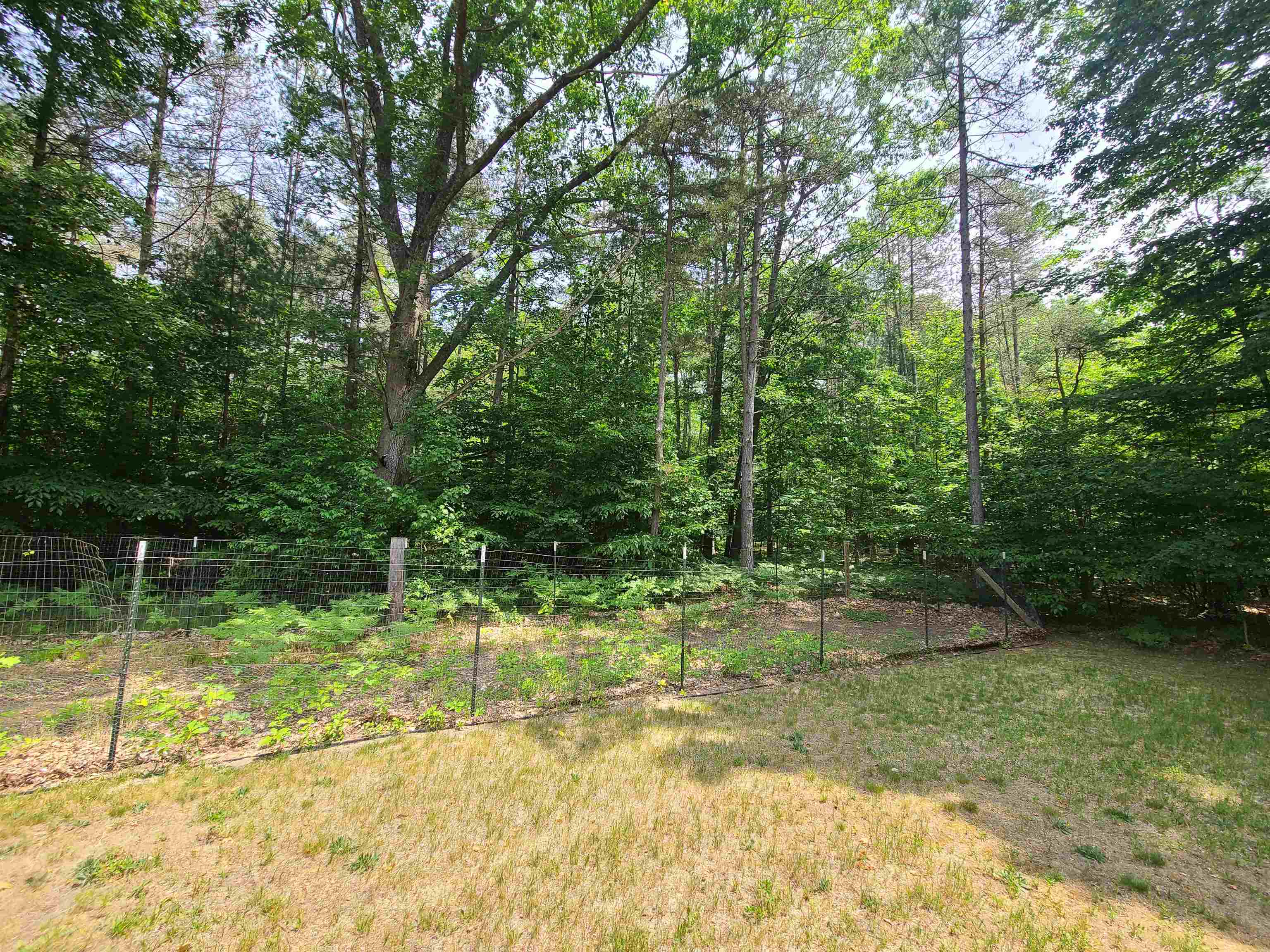 8188 Sparling Road Fife Lake, MI 49633 - Photo 14 of 38