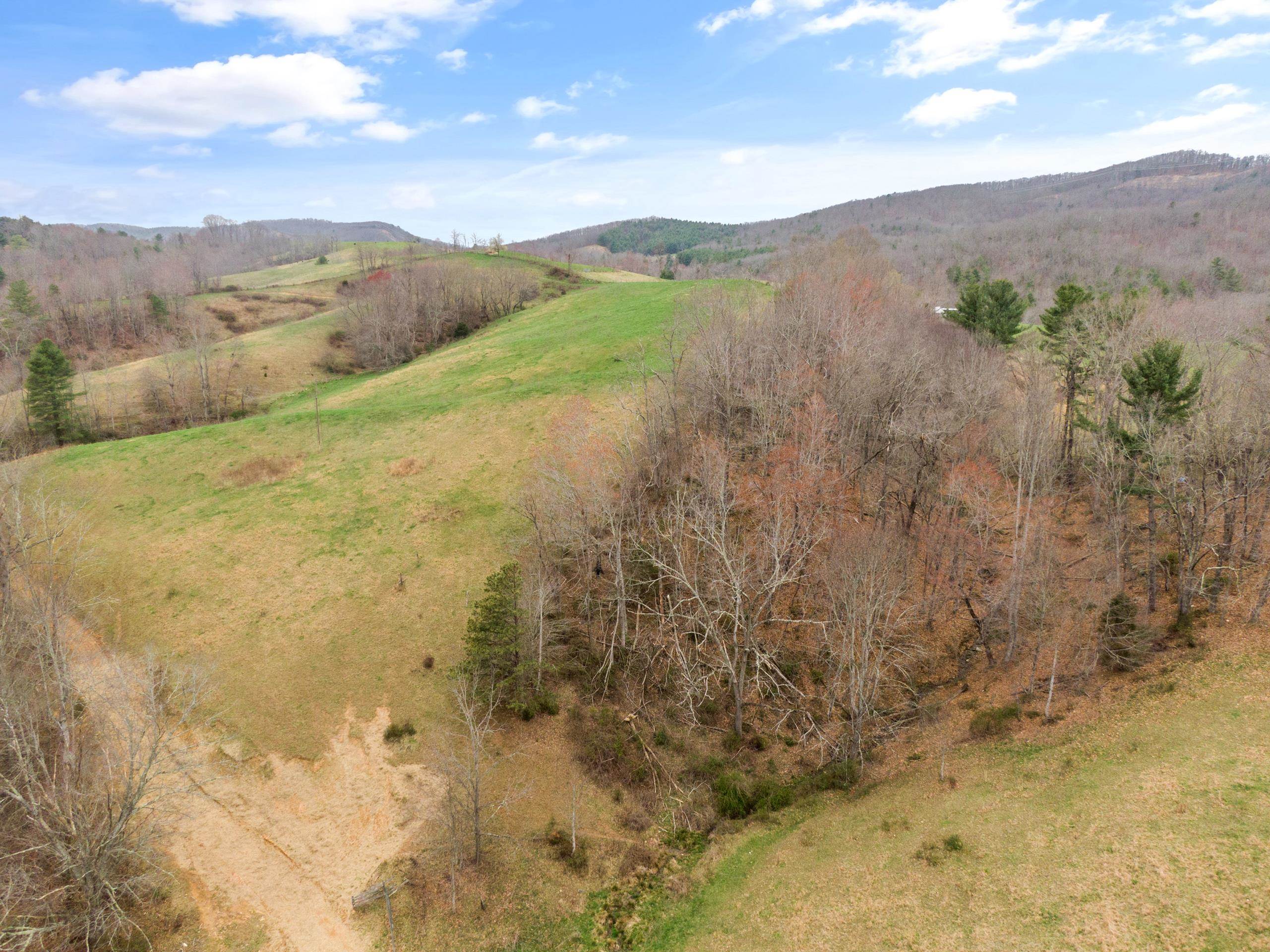 497 Horse Ridge Road Northwest Willis, VA 24380 - Photo 51 of 64 Gallery Image 51