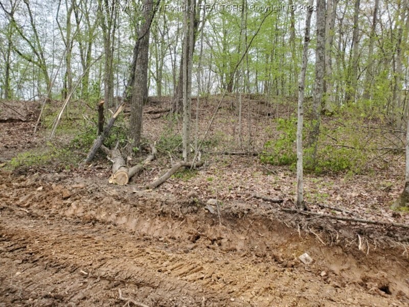 0 Ruser Road Bomont, WV 25030 - Photo 4 of 4 Gallery Image 4
