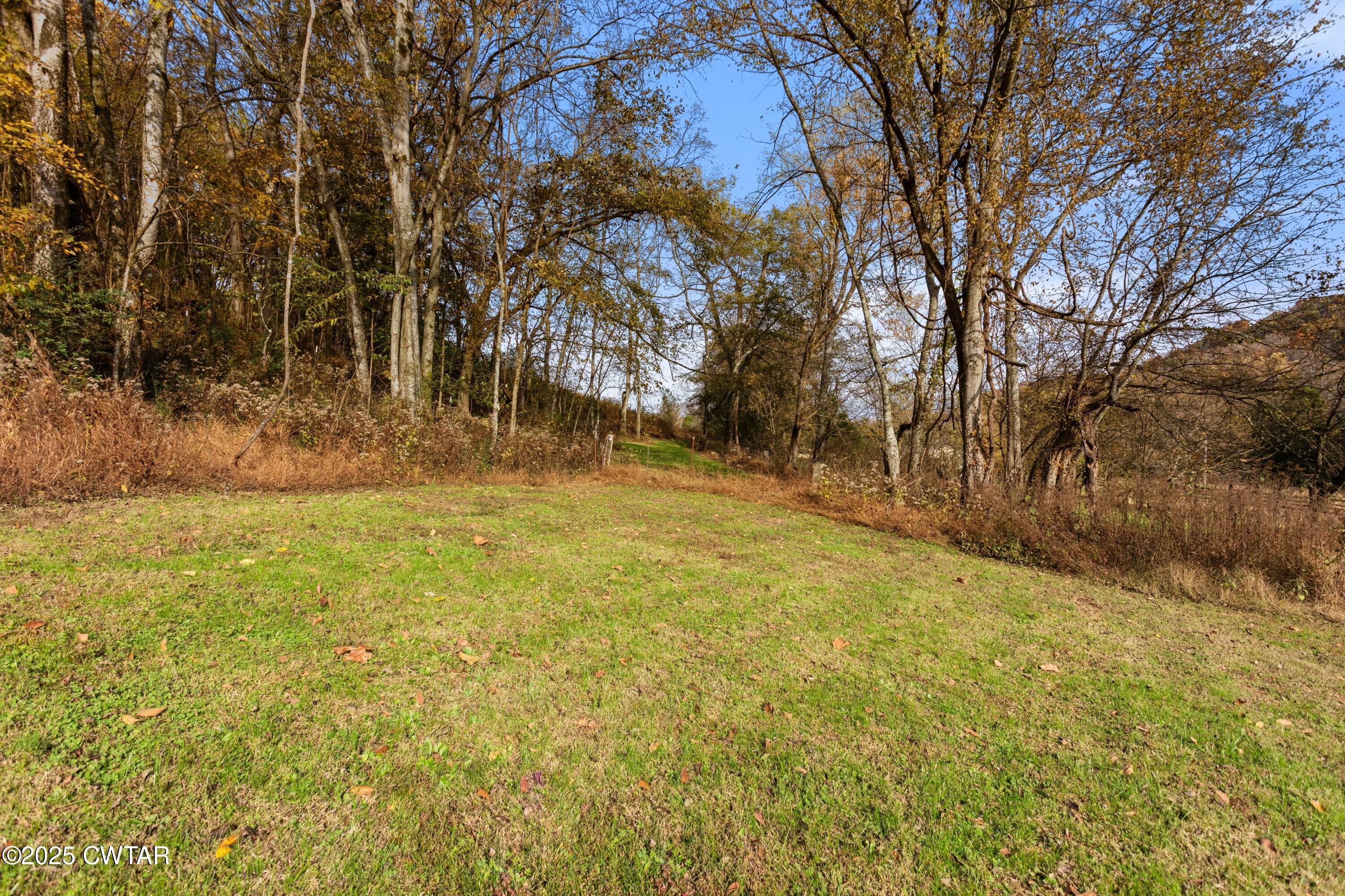 3154 Dodson Gap Road Culleoka, TN 38451 - Photo 35 of 36 a backyard of a house with large trees