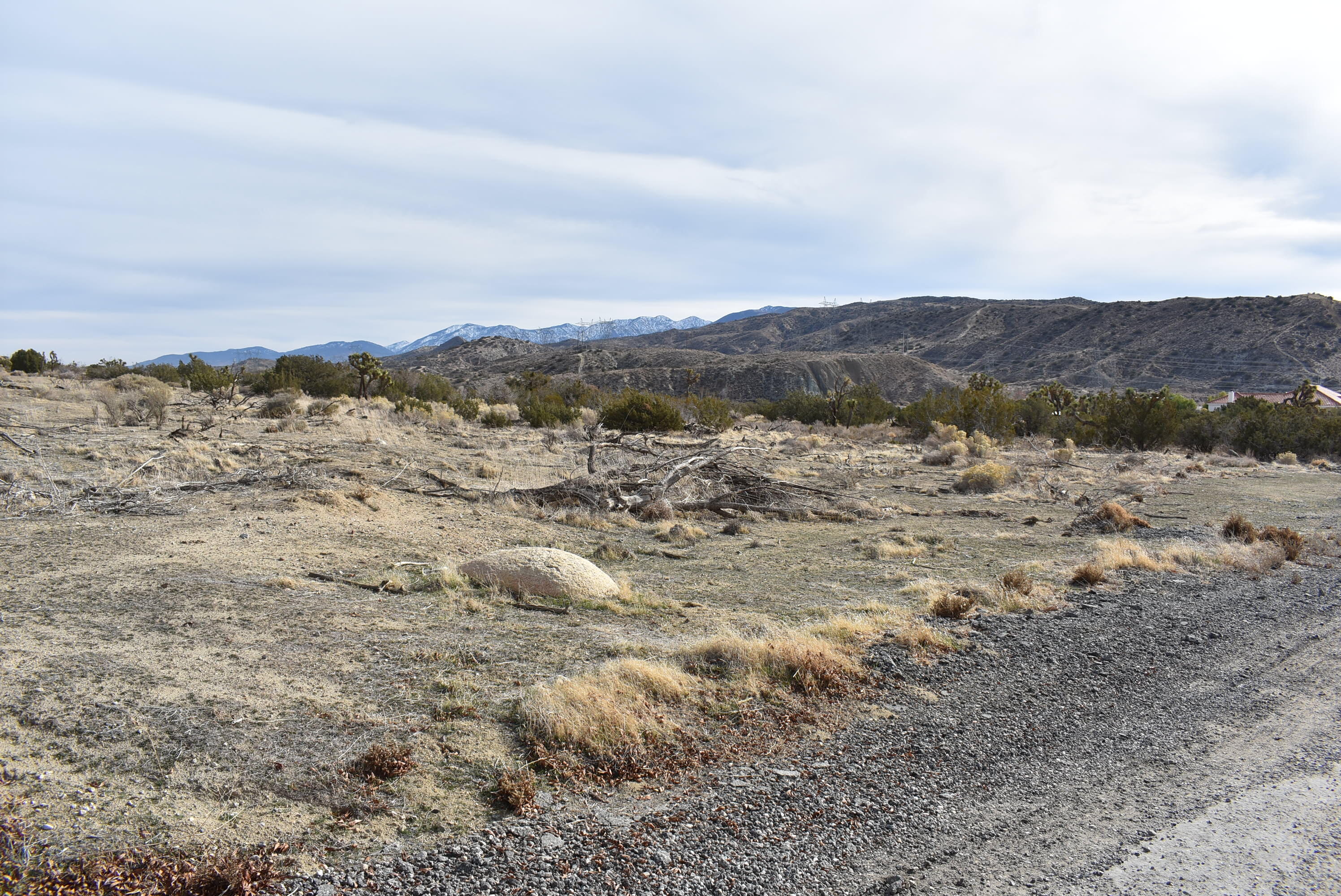 Barrel Springs Palmdale, CA 93552 - Photo 4 of 19 DSC_0732