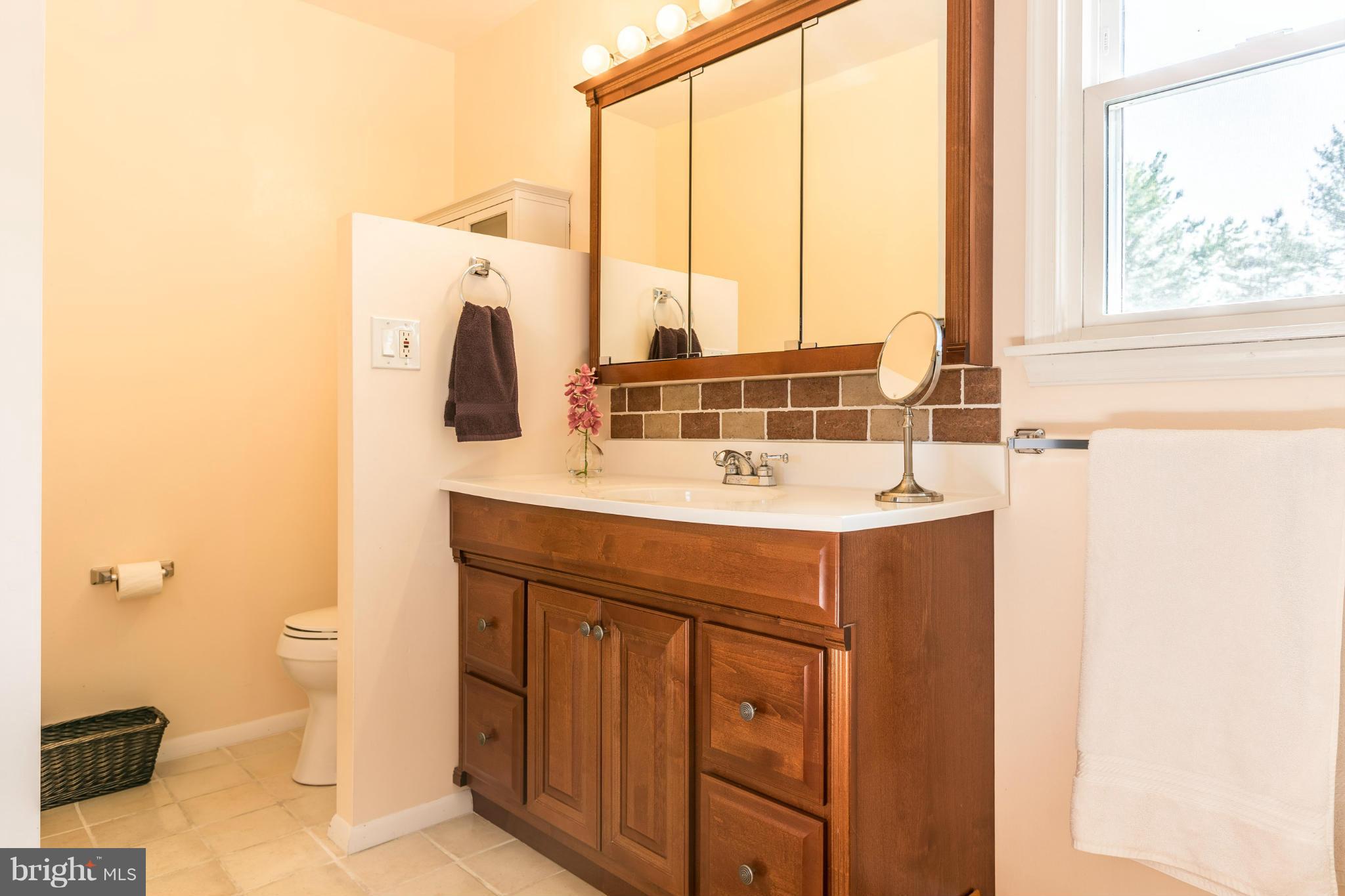 3951 London Bridge Road Finksburg, MD 21048 - Photo 16 of 27 Bath (Master)