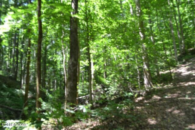 2390 Pea Ridge Fire Tower Road Celina, TN 38551 - Photo 39 of 58 DSC_0131