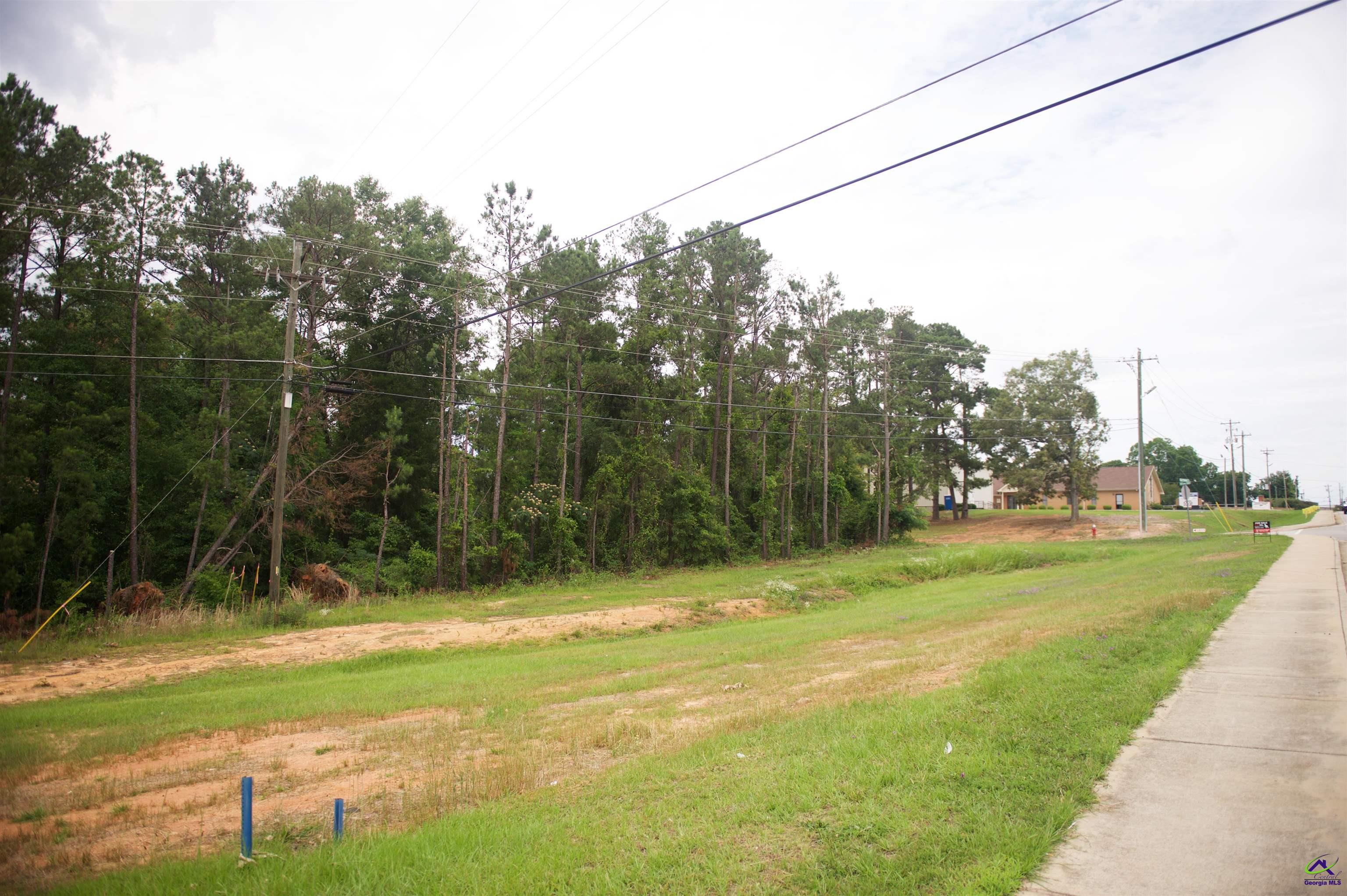 2501 Elberta Road Centerville, GA 31028 - Photo 3 of 6