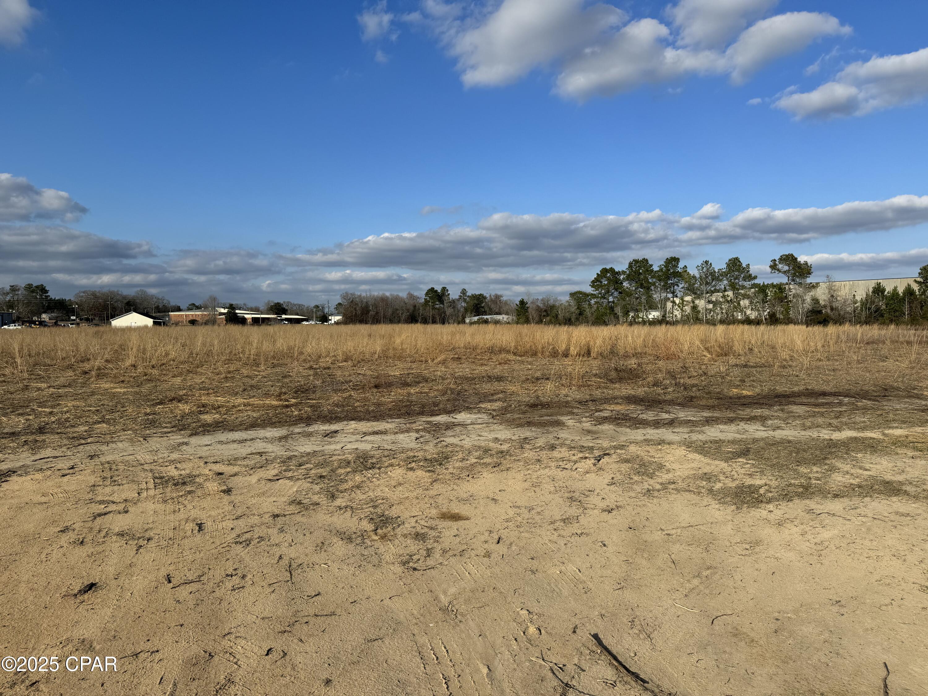 0 Commerce Avenue Chipley, FL 32428 - Photo 2 of 5