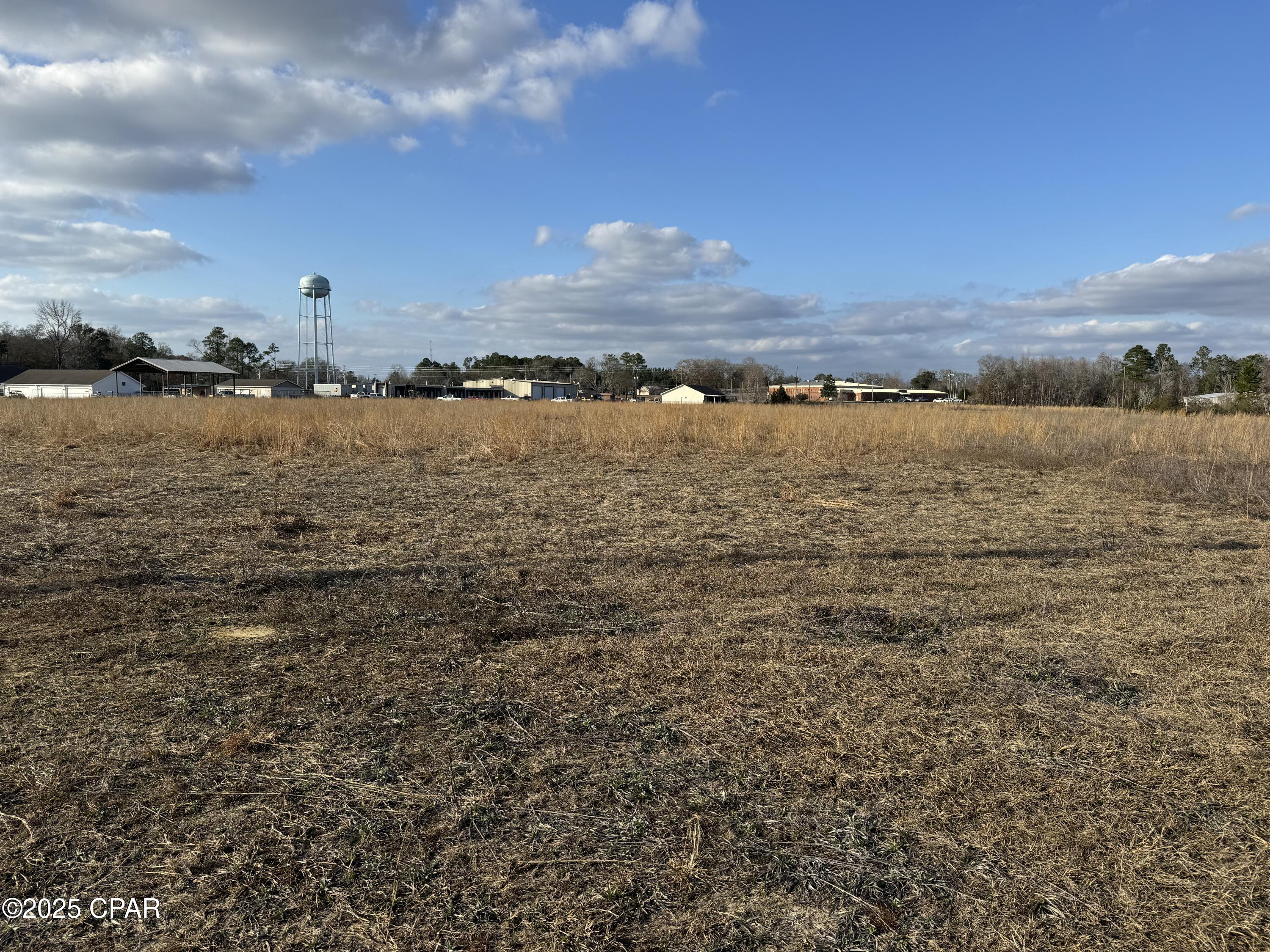 0 Commerce Avenue Chipley, FL 32428 - Photo 3 of 5