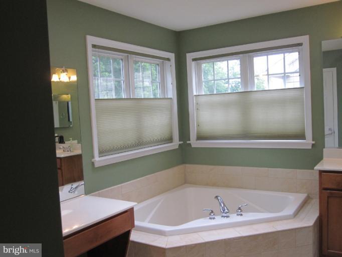 17 Fallston View Court Fallston, MD 21047 - Photo 9 of 24 Bath (Master)