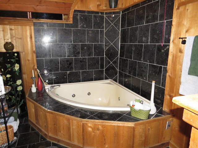 617 Spring Road Ingleside, IL 60041 - Photo 23 of 25 a bath tub sitting next to a blue sink and a shower
