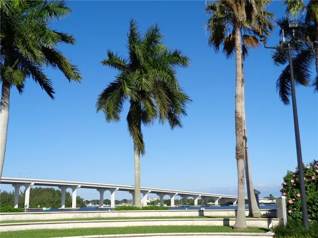 a palm tree sitting on the side of a street