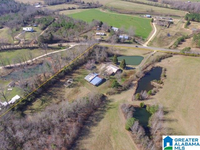 7550 County Road 59 Verbena, AL 36091 - Photo 37 of 41