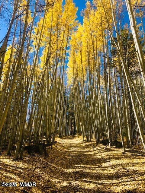 6578 Pinto Circle Pinetop, AZ 85935 - Photo 39 of 45 Fall 2