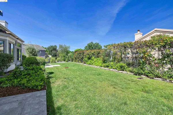 a view of a yard with a tree