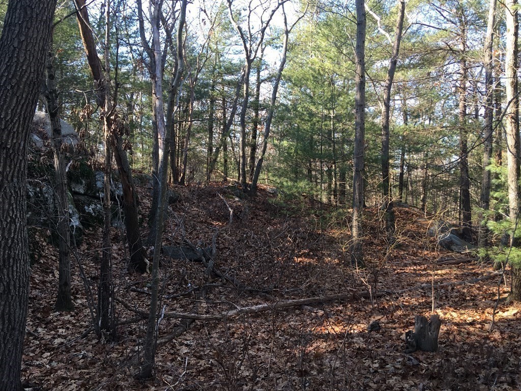 6 Woodland Road Beverly, MA 01915 - Photo 11 of 31 Gallery Image 11